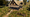 AbandonedHouse06.png