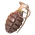 ThrownGrenade