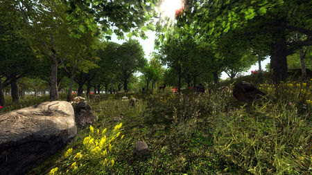 ForestBiome.jpg