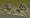 Prison.jpg