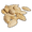 PumpkinSeed.png
