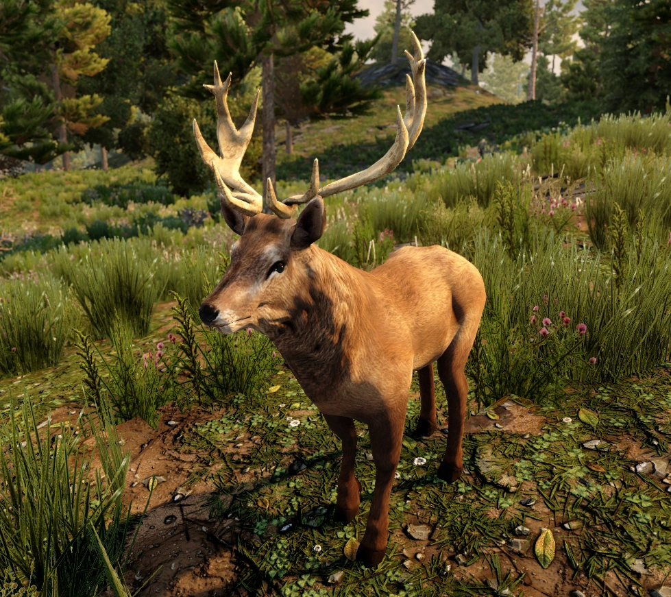 Stag - 7 Days to Die Wiki