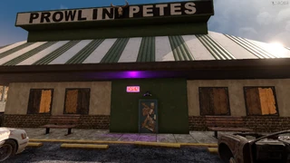 Player Point of View