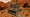 AbandonedHouse04.png
