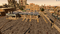 A1Auto.png