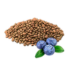 BlueberrySeed