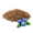 BlueberrySeed.png