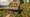 AbandonedHouse03.png