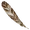Feather
