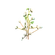CottonPlant