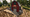 Barn02.png