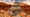 CanyonGiftShop.png