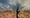 A14DesertBiome.jpg