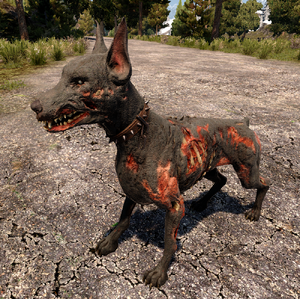 ZombieDog.png