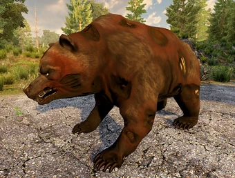 340?cb=20201230205742