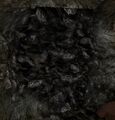 A13 Coal Ore