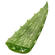 AloeVeraLeaf