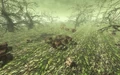 Cars, ruins and corpses in the Radiation Zone