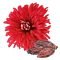 ChrysanthemumSeed