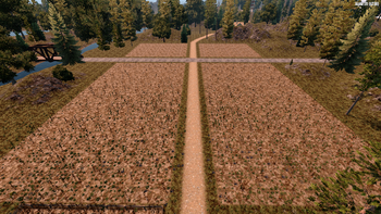 CornfieldLarge