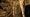 Stalactites.jpg