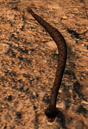 Rattlesnake.png