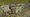 Bank.jpg