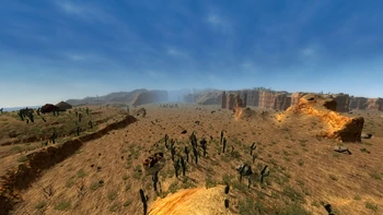 Desert