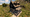 AbandonedHouse02.png