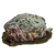 FoodRottingFlesh