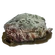FoodRottingFlesh
