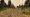 Highway260.jpg
