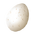 Egg.png