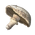 Mushrooms.png