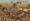 ArmyCamp1.jpg