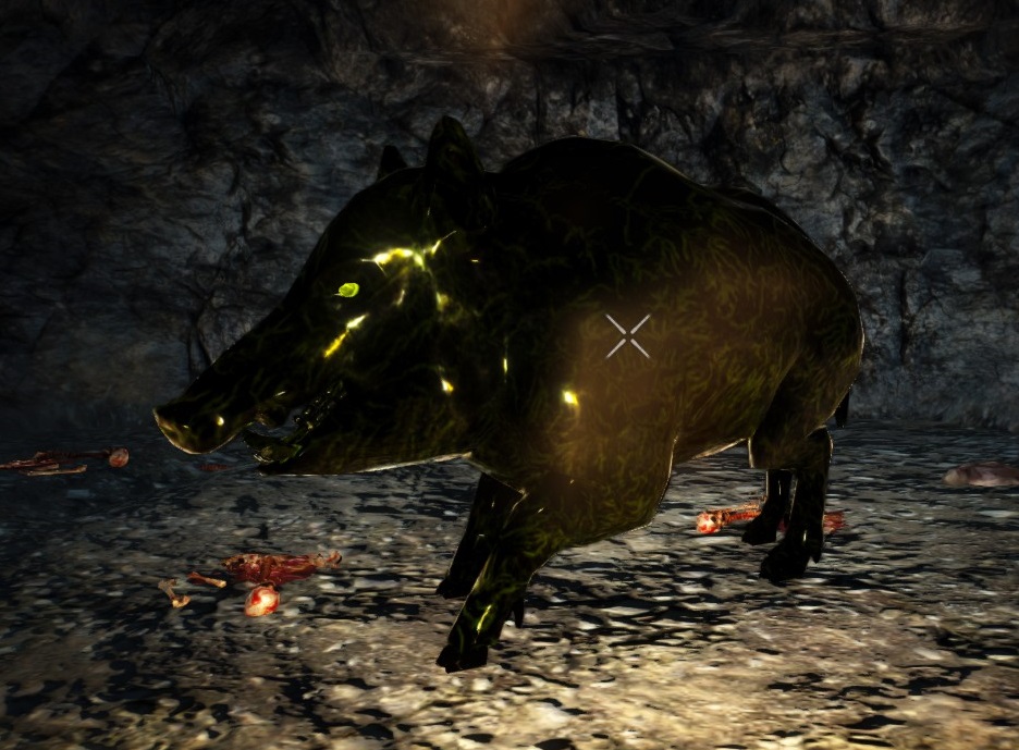 Grace_Boar.jpg