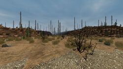 Wagleyrd2.jpg