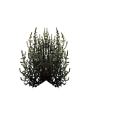 DesertShrubScreenshot.png