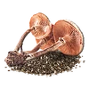 MushroomSeed