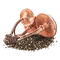 MushroomSeed