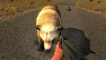 Bär (Alpha 13)