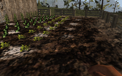 Farming-seedlings