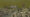 Gravetown.jpg