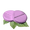 Herbal Antibiotics.png