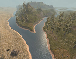 AnselAdamsRiverSplit.jpg