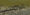 JunkYard.jpg