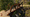 WoodenBridge02.png