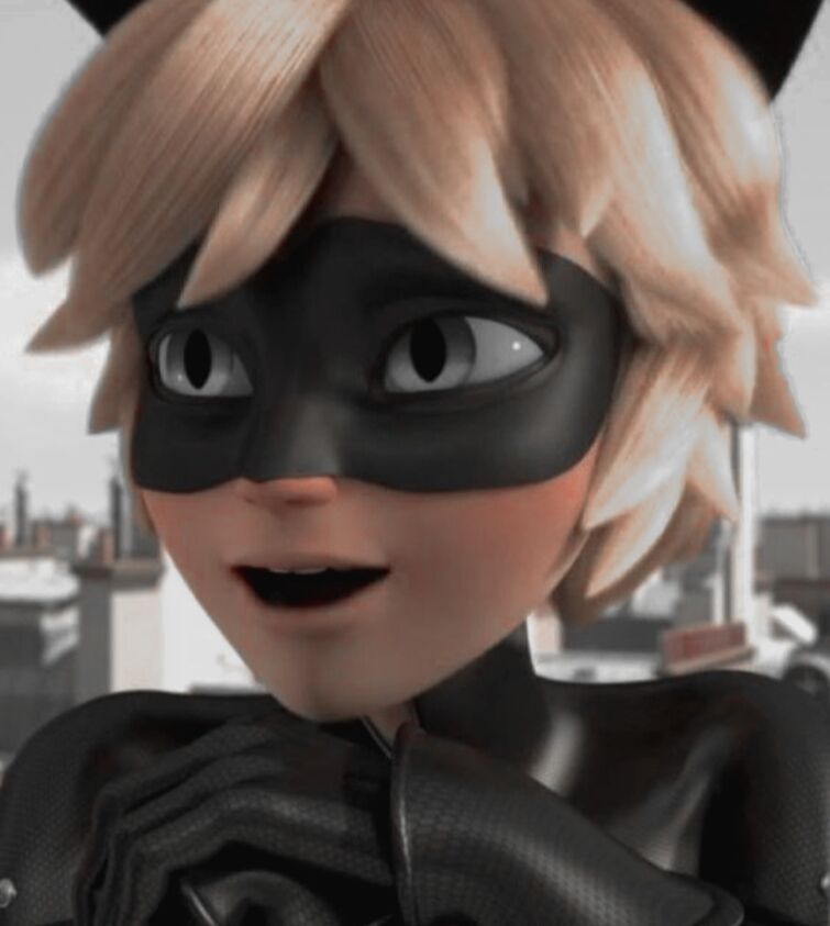 View 16 Pfp Adorable Aesthetic Cat Noir Icons - trendsignarea