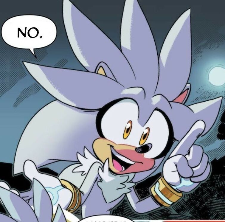 Do Y'all Think Silver Will Appear in Sonic Prime Season 3 (Art