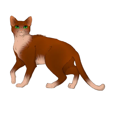 Petits Votes Pour Creer Un Personnage Parce Que J Ai 0 Idees Les Motifs Du Pelage Fandom